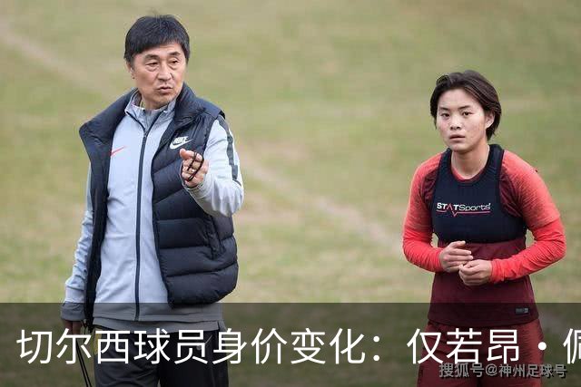 切尔西球员身价变化：仅若昂·佩德罗、哈托身价上升，13人下降